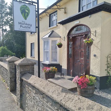 Hotel The Monkey Puzzle Bunclody Exterior foto